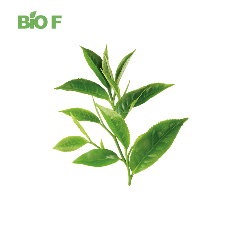 Factory Price Food Grade 40% Theaflavin Black Tea Extract Theaflavin Powder