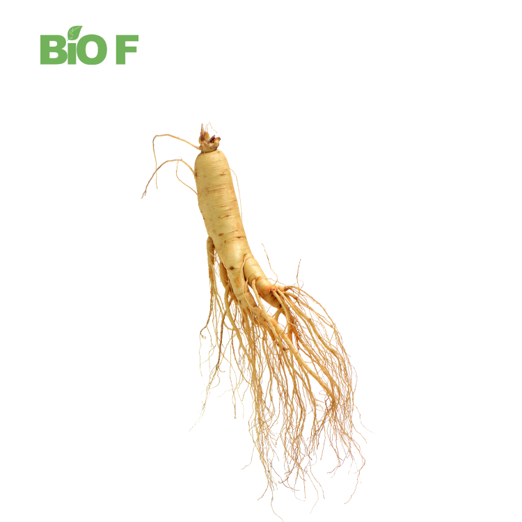 Wholesale Price Korean Ginseng Extract Powder with Free Samples