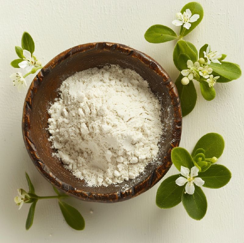 Harnessing the Health Benefits of Portulaca Oleracea Extract Powder: A Breakthrough in Natural Medicine