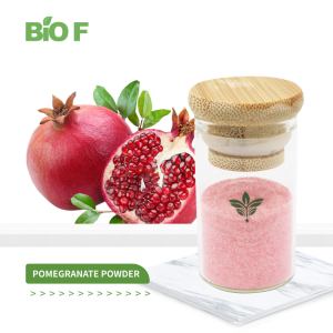 Natural Pomegranate Powder Fruit Powder Free Sample Pomegranate Fruit Powder