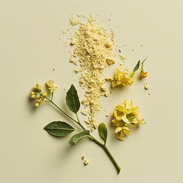 Unlocking the Potential of Lipoic Acid: A Powerhouse Antioxidant in Health and Wellness