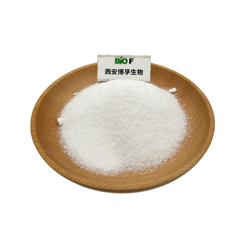 Natural Prebiotic Chicory Root Extract 95% Inulin Powder