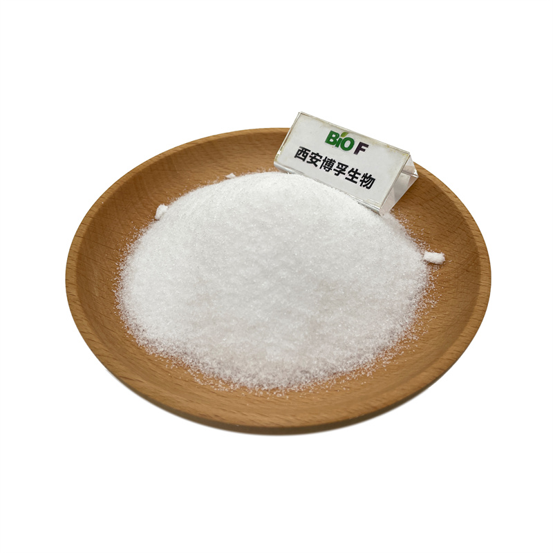 Natural Prebiotic Chicory Root Extract 95% Inulin Powder
