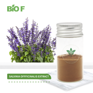 High Quality Natural Salvinia offficinalis Extract Powder in Bulk