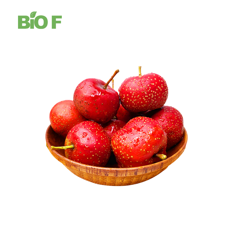 High Quality 5% Natural Flavones Hawthorn Fruit Extract Hawthorn Berry Extract Powder with Free Sample