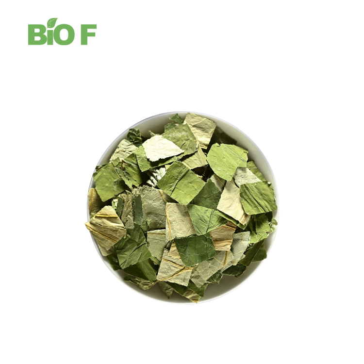 Natural Pure Lotus Leaf Powder 1% 2% 4% 98% Nuciferine Lotus Leaf Extract