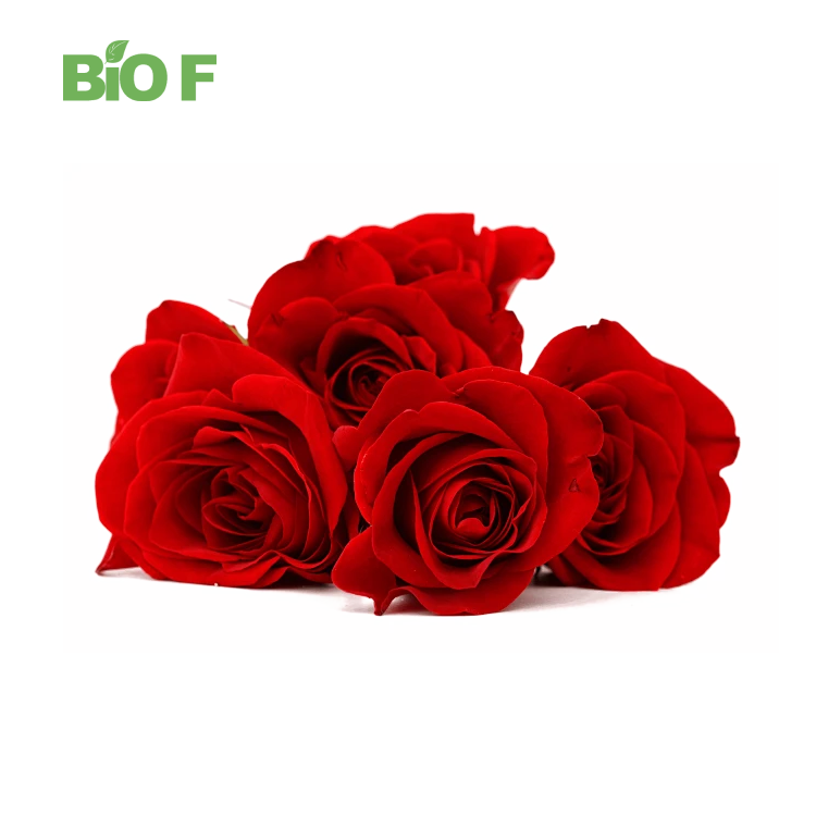 100% Natural Rose Petal Powder Healthy Products Wholesale Bulk Price