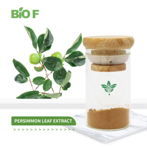 High Quality Natural 10:1 Persimmon Leaf Extract Powder Tannic Acid with Free Samples