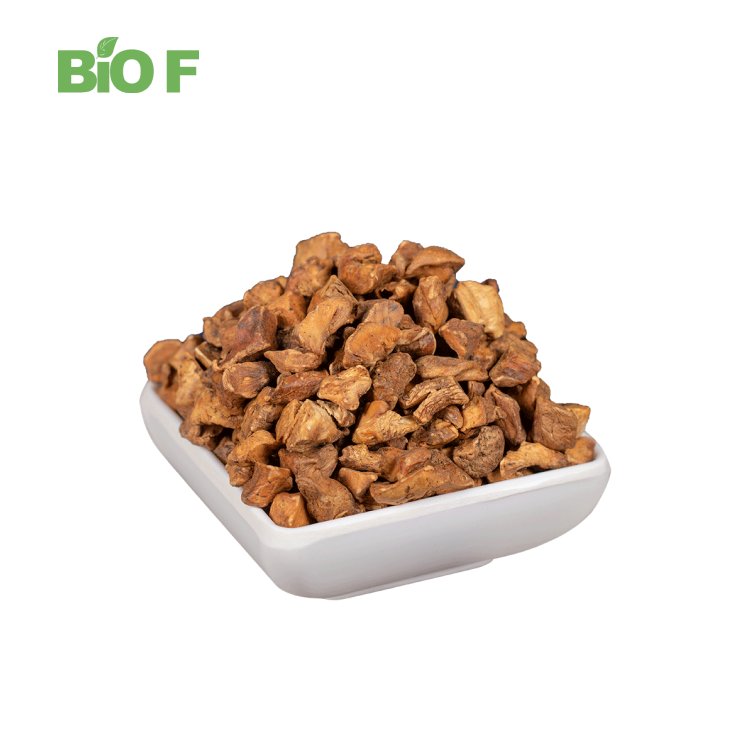 Natural Plant Extract Intybus Chicory Root Extract Powder in Stock