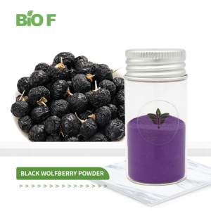 Wholesale Natural Black Wolfberry Goji Berry Fruit Powder