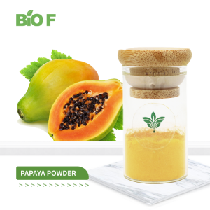 Best Selling Papaya Powder Yellow Papaya Powder Papaya Extract Powder
