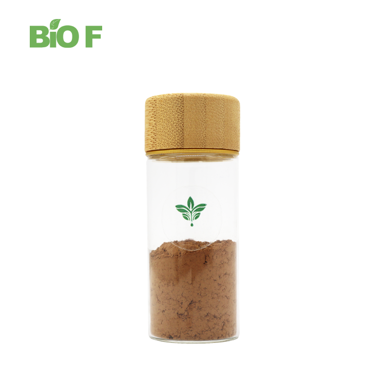 High Quality Herbal Extract 10:1 Kanna Sceletium Tortuosum Extract/ Kanna Extract Powder for Sale