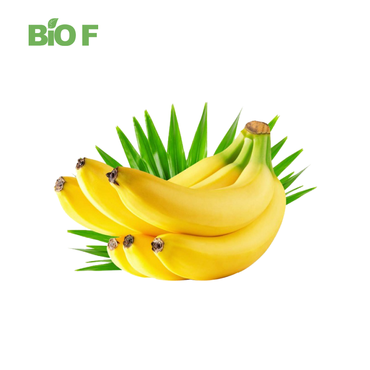 Best Price Banana Fruit Powder Banana Flavor Juice Powder