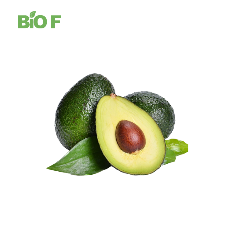 Wholesale Price Avocado Fruit Powder Soluble Dried Avocado Fruit Powder