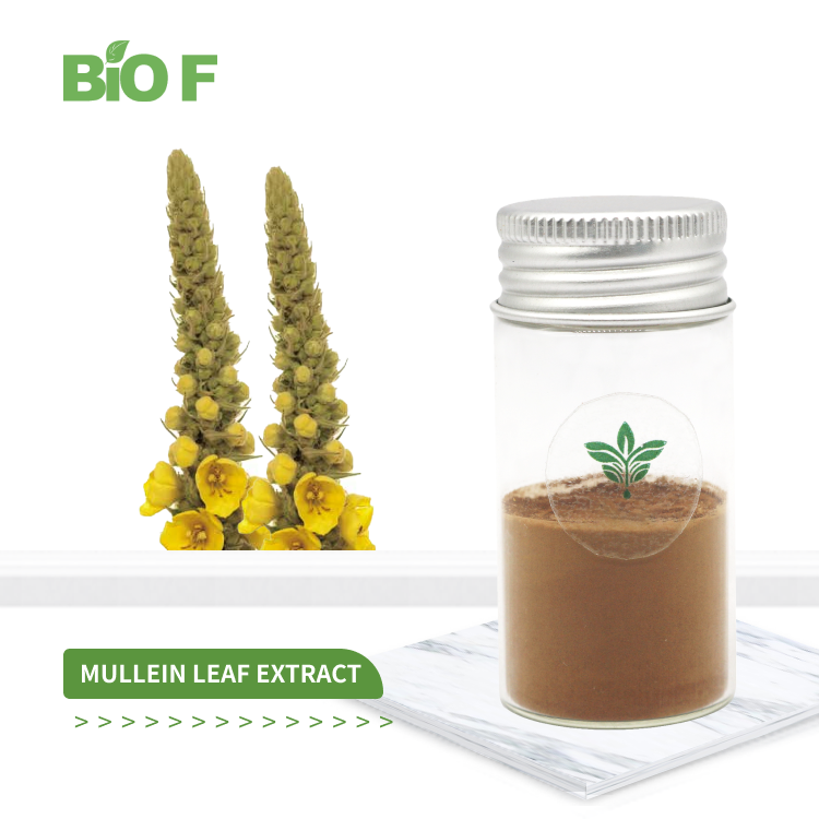 毛蕊花叶提取物