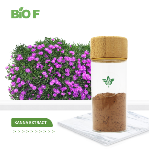 High Quality Herbal Extract 10:1 Kanna Sceletium Tortuosum Extract/ Kanna Extract Powder for Sale