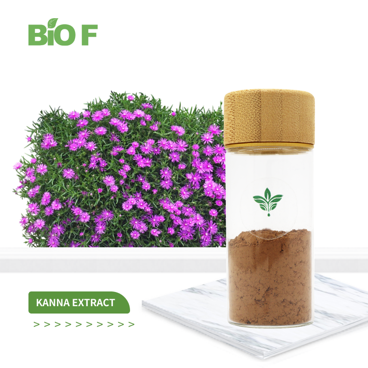 松叶菊提取物