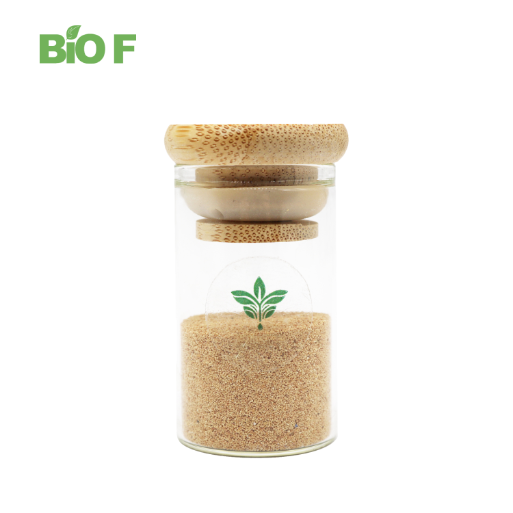 Cosmetic Grade 20-80 Mesh Walnut Shell Powder