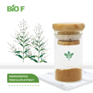 Herb Extract Andrographis Paniculata Extract Powder Andrographolide 10%