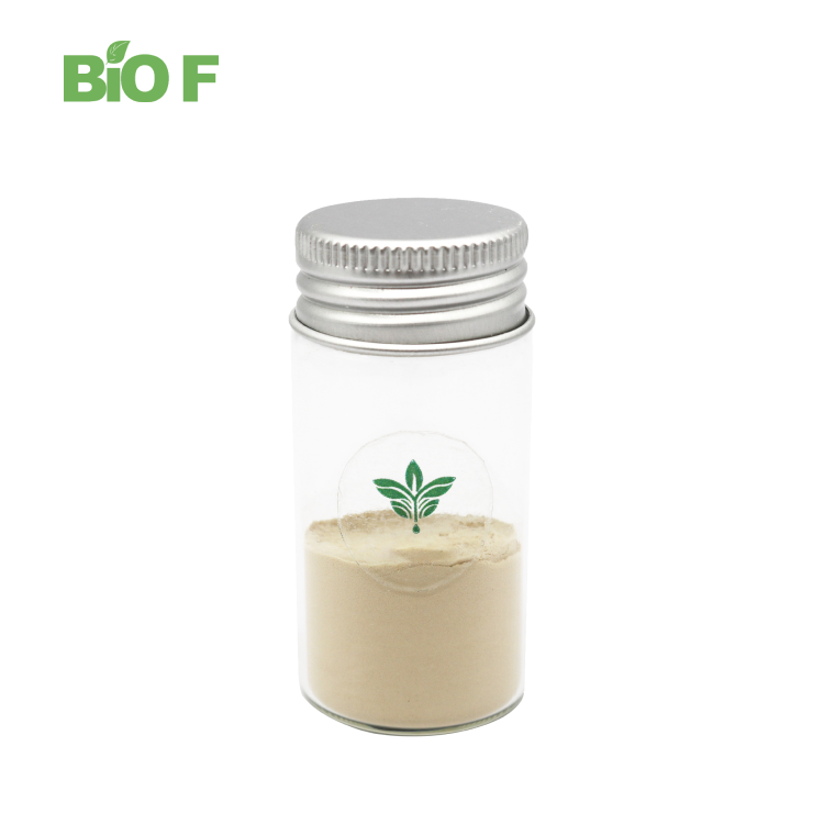Natural Pure Freeze Dried Cantaloupe Powder Cantaloupe Juice Powder