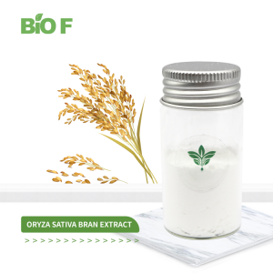 Hot Selling High Quality Oryza Sativa Ferulic Acid Bran Extract Powder in Bulk