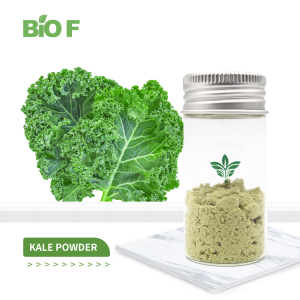 Natural Food Grade Vegetable Powder Dried Kale Extract Kale Powder
