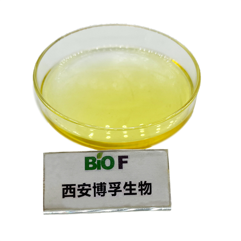 Natural Docosahexaenoic Acid DHA Algae Oil 40%