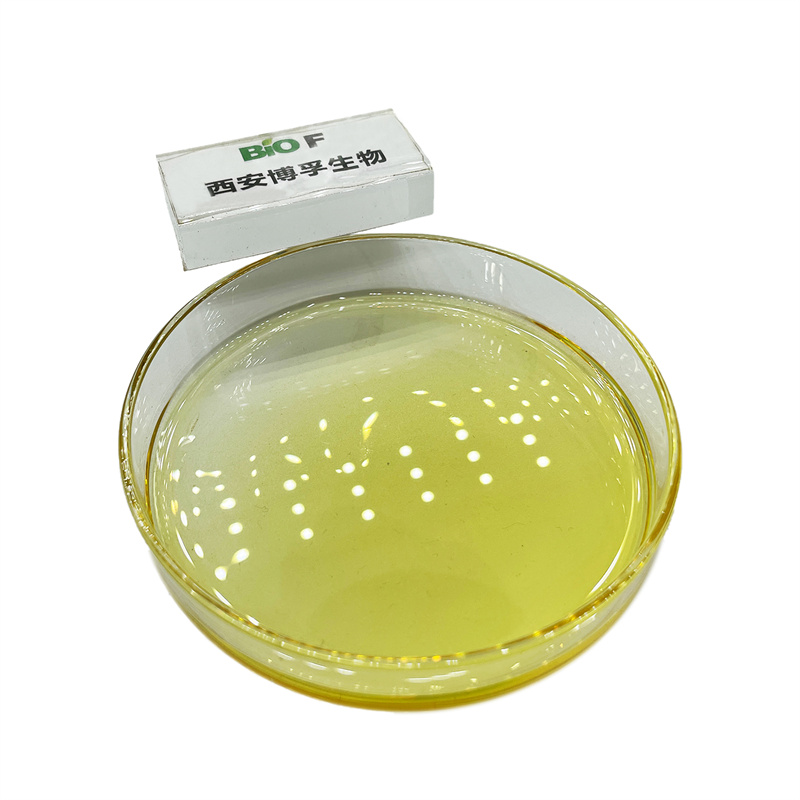 Natural Docosahexaenoic Acid DHA Algae Oil 40%