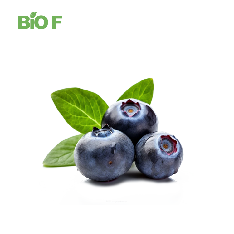 Food Grade Natural Blueberry Extract Freeze Dried Blueberry Powder in Stock