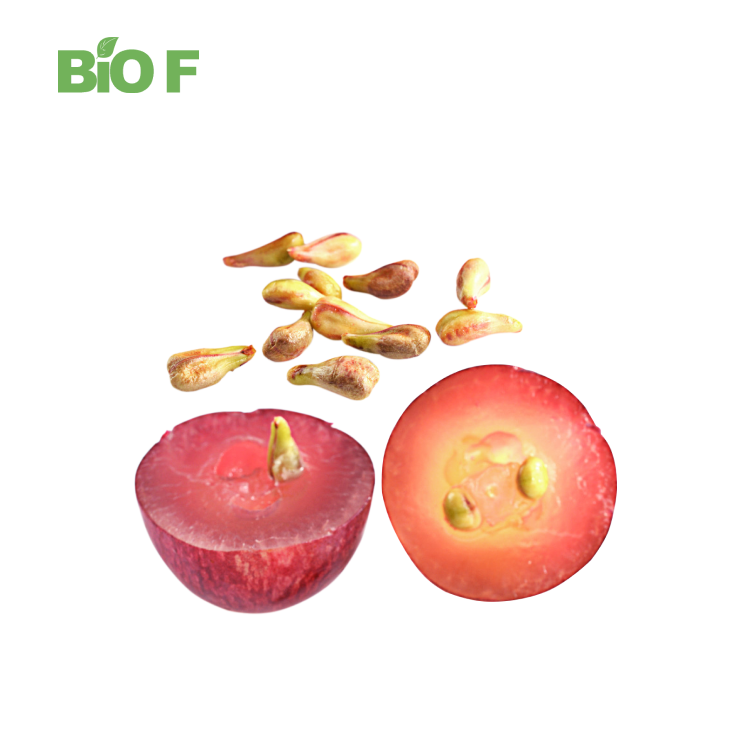 High Quality Natural Cas 84929-27-1 Grape Seed Extract Powder in Stock