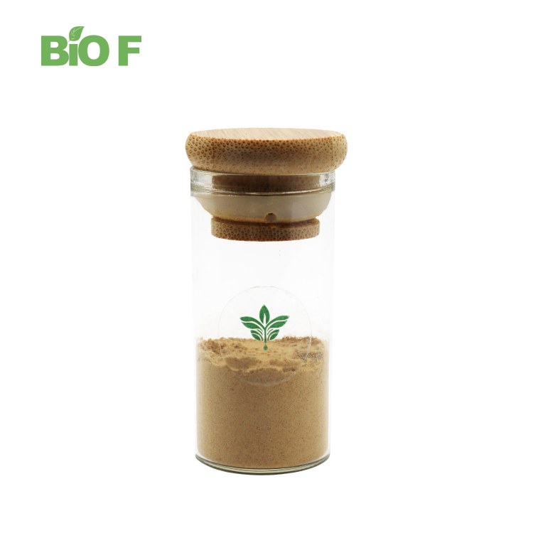 Milk Thistle Extract Water Soluble Silymarin 40% Powder for Supplement Formulations