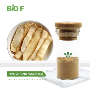 Factory Supply Natural Fragrant Landpick Extract 10:1 Fragrant Landpick Extract