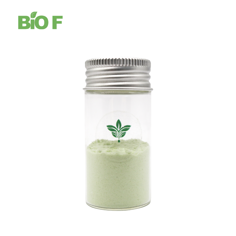 Wholesale Price Avocado Fruit Powder Soluble Dried Avocado Fruit Powder