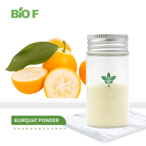 Premium Quality Kumquat Powder Pure Kumquat Extract Kumquat Powder