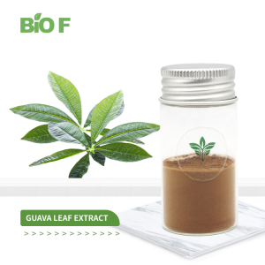 Natural Plant Extract Health Care Supplements Antioxidant Guava Leaf Extract