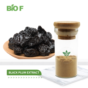 Food Grade Fruit Extract Pure Natural Black Plum Extract Powder