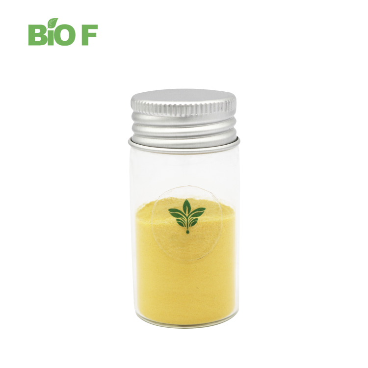 Cosmetic Raw Material 98% Usnic Acid Powder CAS 125-46-2 Usnea Extract / Lichen Extract Powder