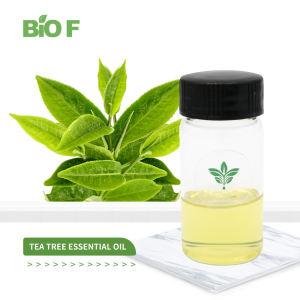 Natural Organic Pure Tea Tree Essential Oil
