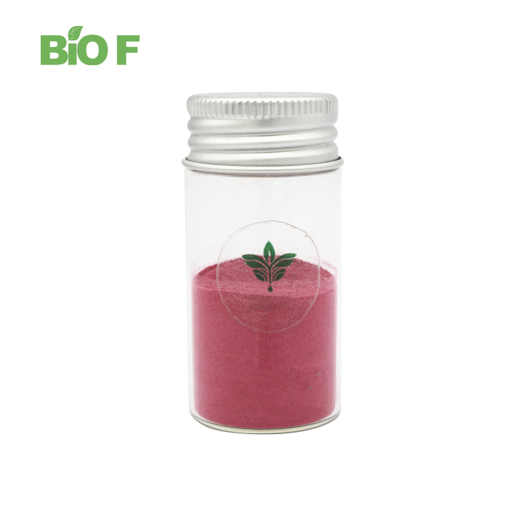 100% Natural Rose Petal Powder Healthy Products Wholesale Bulk Price