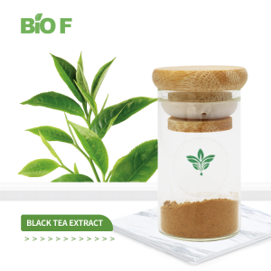 Factory Price Food Grade 40% Theaflavin Black Tea Extract Theaflavin Powder