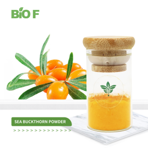 Sea Buckthorn Powder Sea Buckthorn Fruit Extract Powder in Bulk