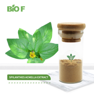High Quality Natural Spilanthes Acmella Flower Extract Powder in Bulk