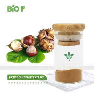 Wholesale Price Horse Chestnut Extract Powder Aescin 20%-40% Powder