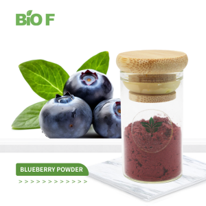 Food Grade Natural Blueberry Extract Freeze Dried Blueberry Powder in Stock