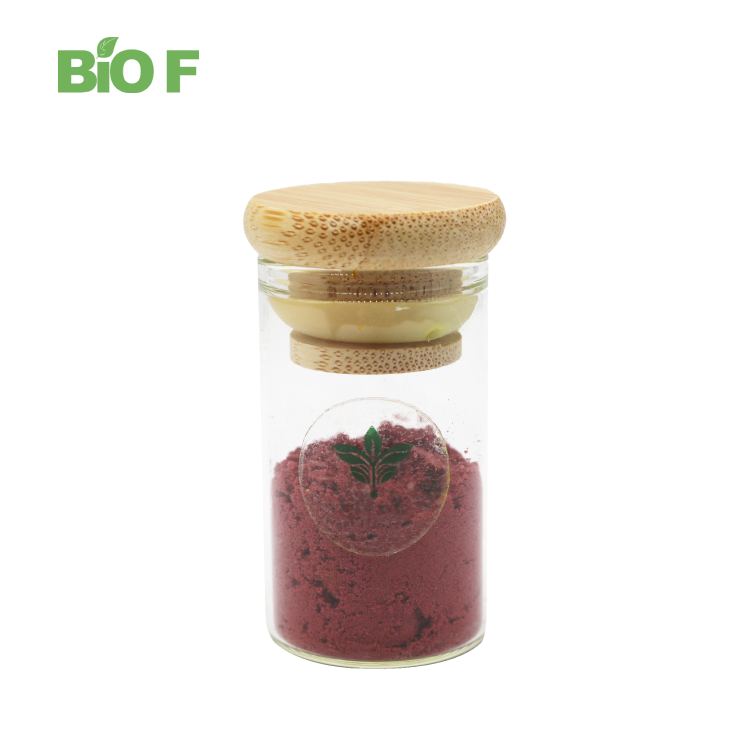Food Grade Natural Blueberry Extract Freeze Dried Blueberry Powder in Stock