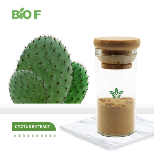 Top Sale High Purity 10: 1 Cactus Extract Powder Cactus Plants Extract in Bulk