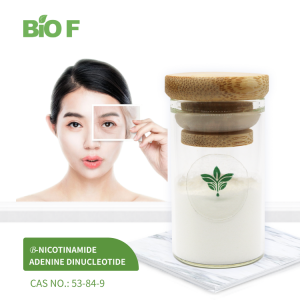 Beta Nicotinamide Adenine Dinucleotide NAD+ Powder Cas 53-84-9