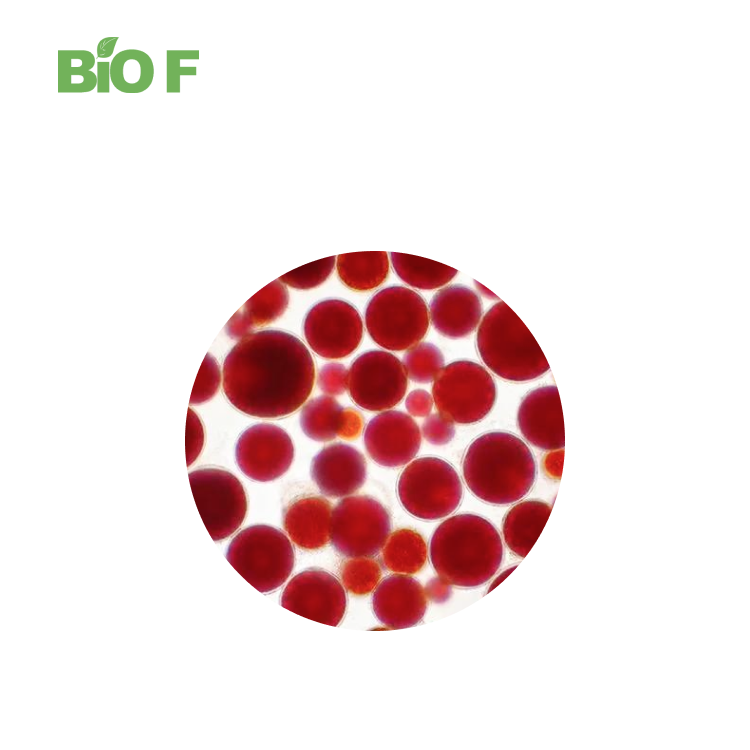 Natural Haematococcus Pluvialis Extract Powder Astaxanthin Powder for Antioxidant
