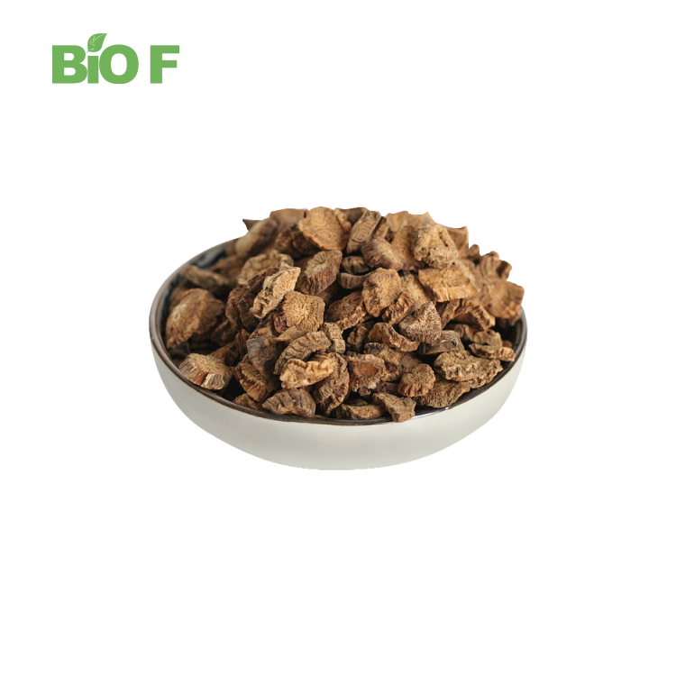Wholesale Natural Burdock Root Extract