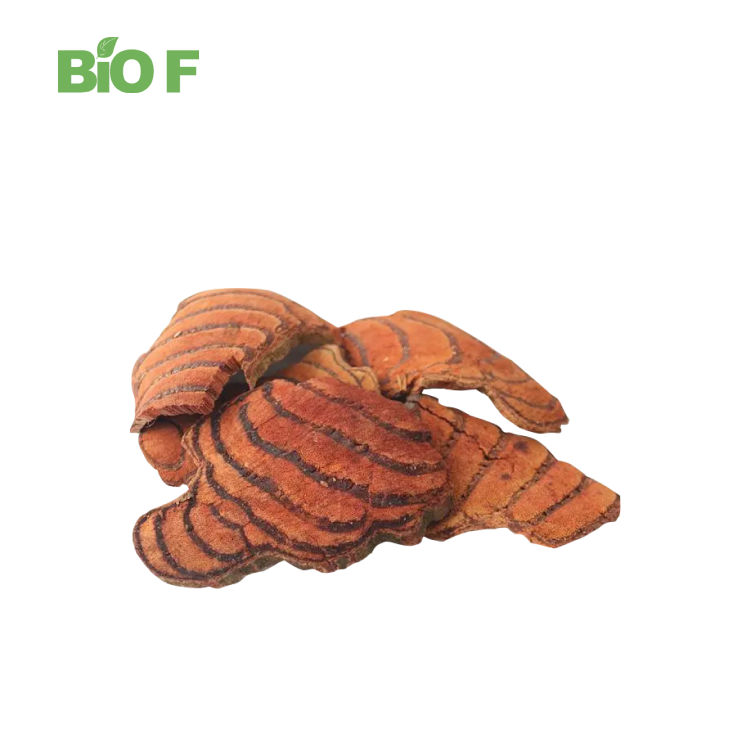 High Quality Caulis Spatholobi Caulis Spatholobi Extract Powder in Bulk